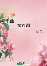 塞上曲•寒衣调
