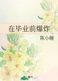 在毕业前爆炸